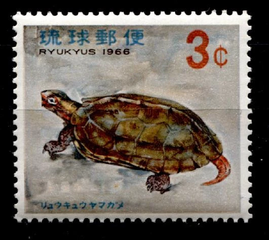 Schildkröten. Japanische Erd-Sumpfschildkröte. 1W. Riu-Kiu-Inseln 1966