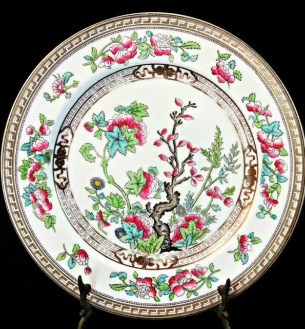 ❤️ Antique Old Royal Doulton England Gold Red China Plate India Tree Bonsai 🥡🖤