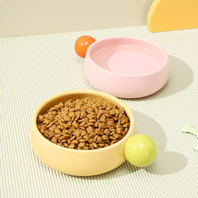 Cat Bowl Pet Puppy Kitten Dish for Small Dogs Indoor Cats Small Animals