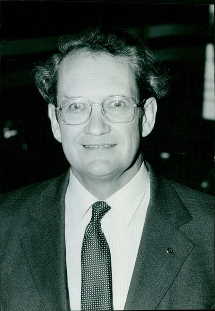 David Butler - Vintage Photograph 4706571