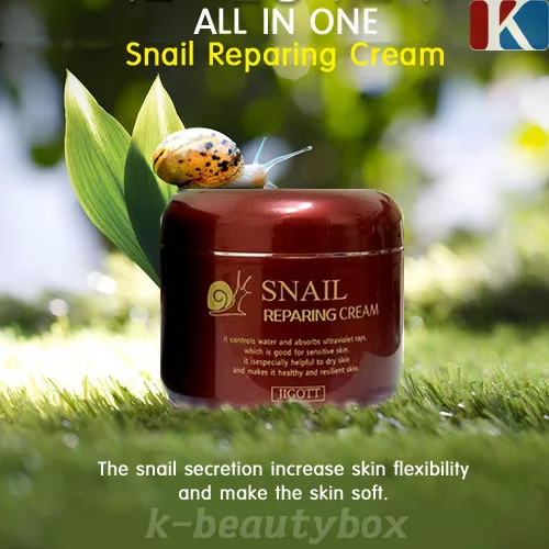 ALL IN ONE SNAIL CREAM Acne & Blemish Treatments Snail Reparing Cream 100g