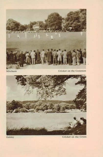 Mitcham Common Ockley Green Cricket Matches Vintage Picture Print 1955 KES#27