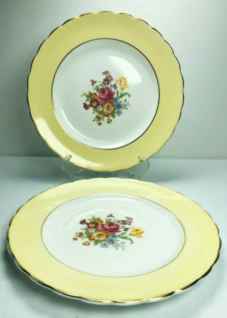 New Chelsea Salad Plates SET of 2 NCL7 Yellow Border Dessert Flower ENGLAND  8"