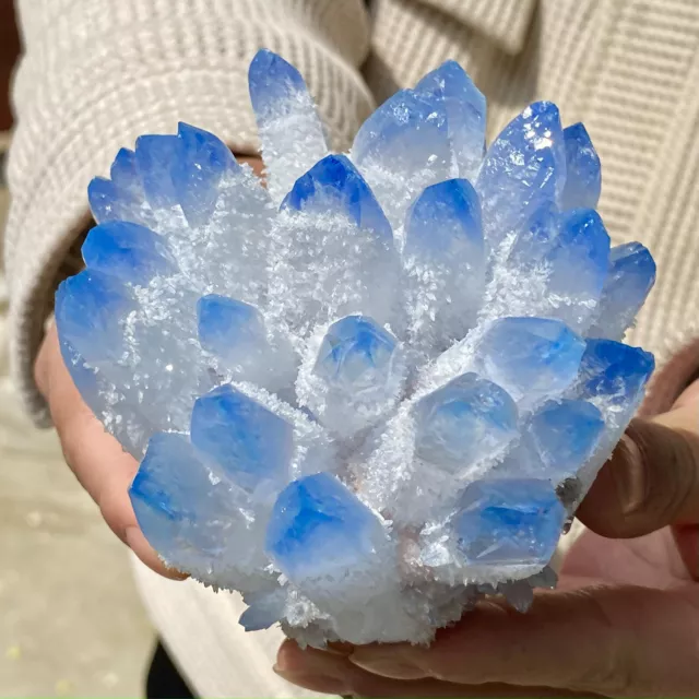 1.6LB New Find sky blue Phantom Quartz Crystal Cluster Mineral Specimen Healing 5