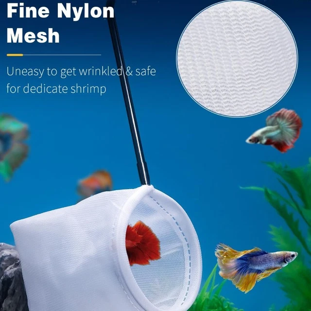 Filet à Crevettes Télescopique Pour Aquarium – Acier Inoxydable, Manche Réglable 20-48,5 Cm, Maille Douce - 9
