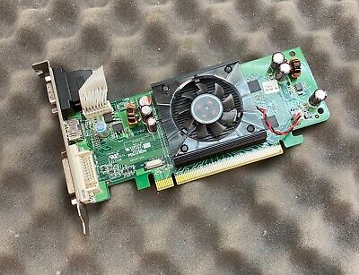 Dell Pegatron Radeon HD3450 256MB DDR2 PCIe VGA/DVI/HDMI Scheda grafica 