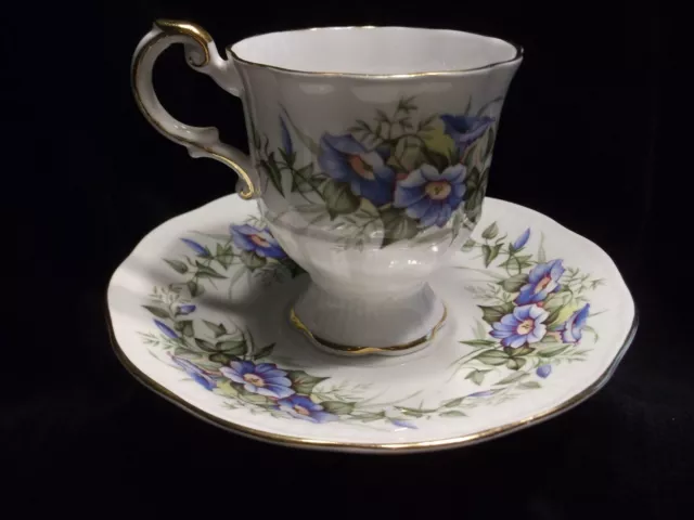 TWO (2) Vintage Tea Cup & Saucer Fine Bone China England Rosina - Wild Flowers