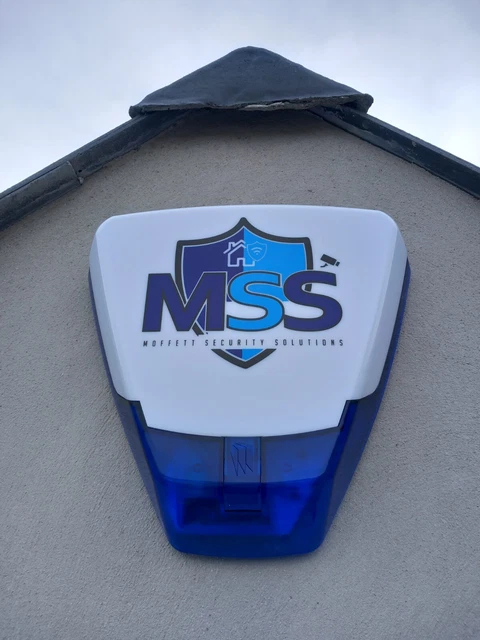 Logotipo Profesional Ladrón Intruso Caja de Alarma Azul Señuelo Sonda Alarma Seguridad
