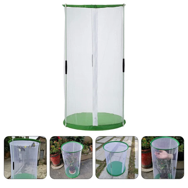 Cage à Papillons Pliable 33x37.5cm - Habitat En Maille Avec Fermeture Éclair, Mangeoire Portable | Pour Élevage, Observation Au Jardin - 13