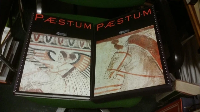 PAESTUM - Banco di Napoli - cofanetto - F. Zevi - M. Jodice, 1990, 2g23