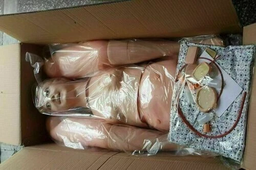 Nursing Manikin Multi Functional Model Female Medical & Lab Equipment