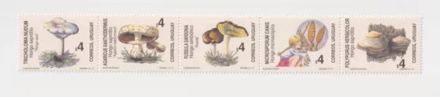 Uruguay , Mi 2218-22, Einheimische Pilze, Satz, zusammenhängend gedruckt