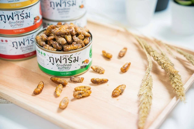 Superfood di pupe di insetti fritte in scatola, Thailandia 15g. 7 gusti,...