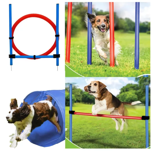 Pet Agility Set Training Dogs Outward Outdoor Play Hurdle Jump Hoop Pole Tunnel