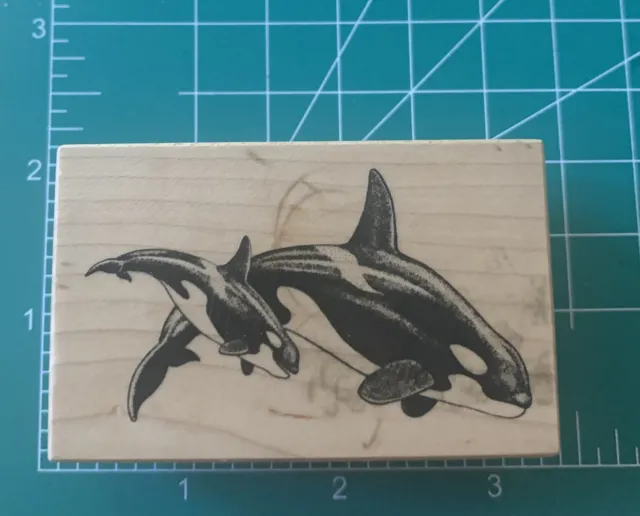 1993 orca de goma de colección madre y ternero bebé
