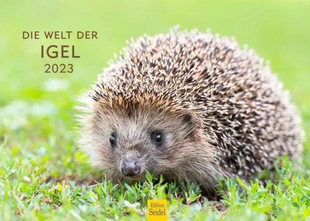 Die Welt der Igel Kuscheltiere: Entspannung und Kreativität durch Ausmalbilder
