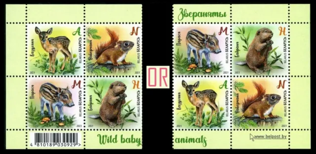 Belarus 2021 * Wild baby animals * Fauna * Set of 4 stamps * MNH
