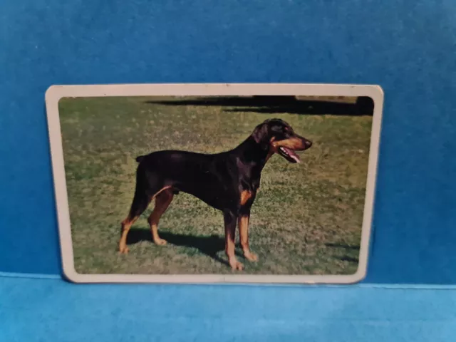 Golden Fleece Swap Cards DOGS #3 DOBERMAN Trading Card🏆FREE POST