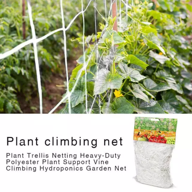 Garden Plant Climbing Net Fence Trellis Netting Support Climbing Creeper T~m'