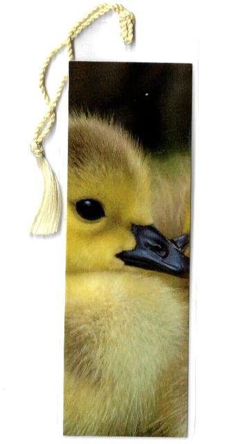Baby Duck Bird Bookmark Duckling Animal Lover Gifts for Her Girl Women Kids NEW