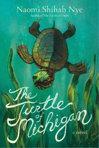 Naomi Shihab Nye The Turtle of Michigan (Paperback)