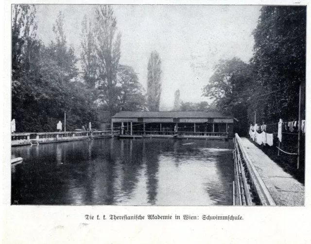 Die k. k. Theresianische Akademie in Wien Schwimmschule Bilddokument von 1909
