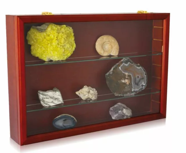 Safe Albums Wooden Showcase for Trains, Minerals, Cars, Stones, Collectables "L"