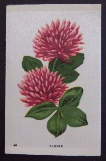 CLOVER Garden Flowers of the World issued in 1913 SILK