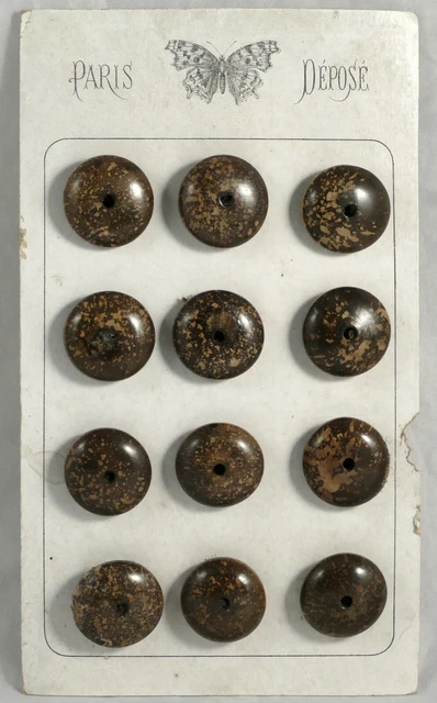 Présentoir 12 bouton ancien Art déco corozo imitation marbre antique button