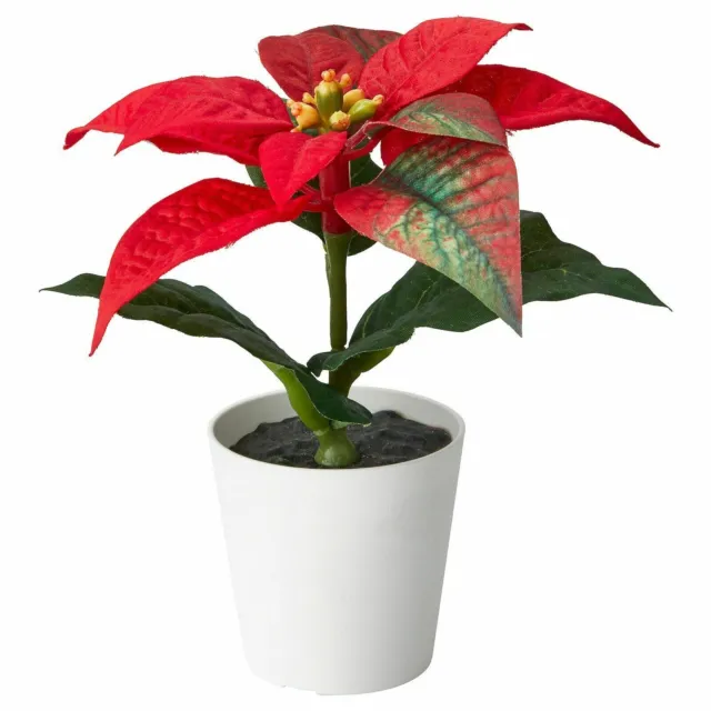 Ikea FEJKA Artificial Christmas Potted Plant, In/Outdoor, Poinsettia red 6cm