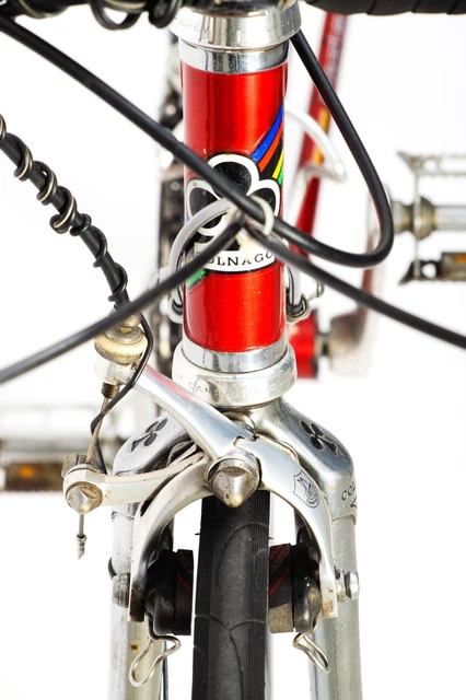 colnago saronni master