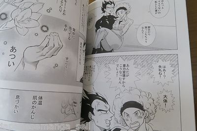 Cool Chic style A5 90pages Dragon Ball Doujinshi Vegeta X Bulma Anthology 