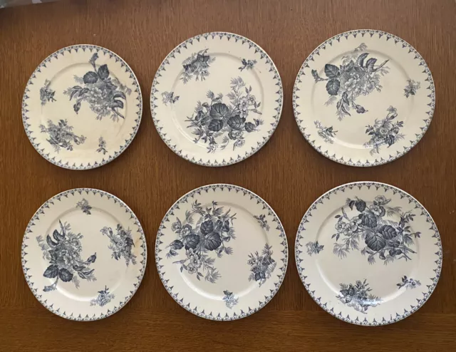 6 Belles Assiettes Plates Service FLORE Faïence de Sarreguemines U&C 1900 en TBE