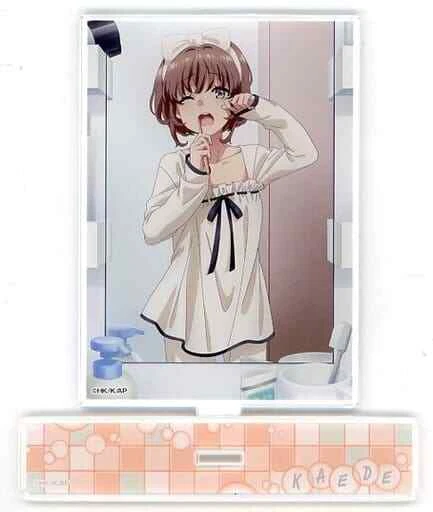 Keade Rascal Sad PANNEAU DE SUPPORT acrylique Kaede Azusagawa Rascal Doesdream Of A ...