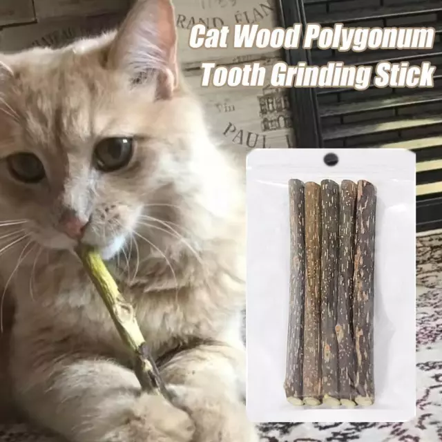 Cat Molar Stick Natural Catnip Teeth Cleaning Toothpaste Silvervine Cat Sna W8I4