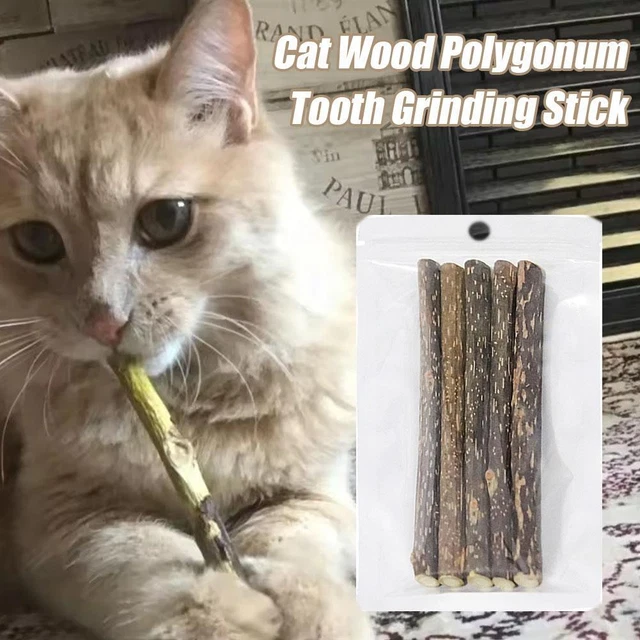 CAT MOLAR STICK Natural Catnip Teeth Cleaning Toothpaste Silvervine Cat