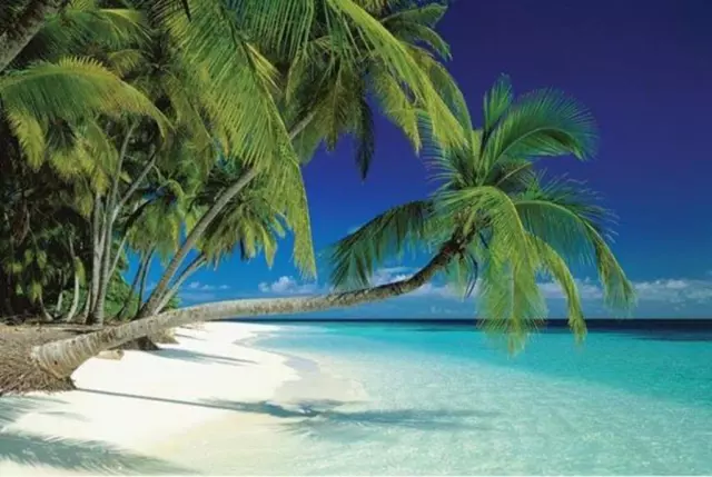 Maldives Beach Palm Trees Ocean Island Tropical Paradise Photo Poster 36x24