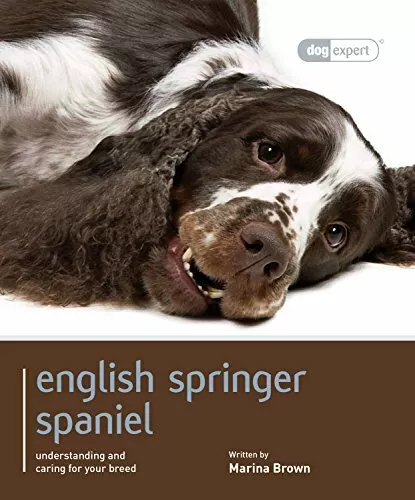 English Springer Spaniel: Dog Expert By Myra Lawson