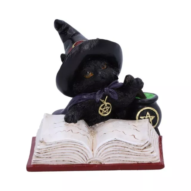 NEW Familiars Brew Black Cat Figurine Witches Cat Figure Ornament  8cm Boxed