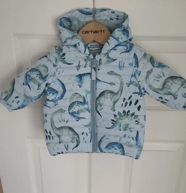 Next boys dinosaur best sale coat