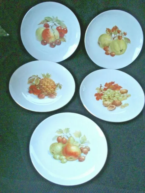 Vintage Bareuther Waldsassen Bavaria Germany 8" Plates Assorted Fruits Set of 5
