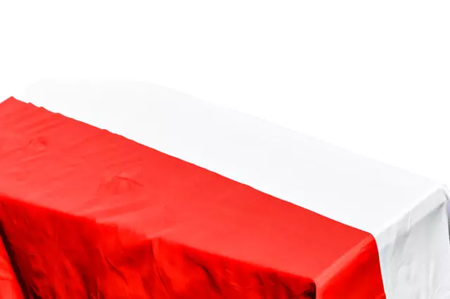 Polonia Bandera Ataúd Drape - Rápido Despacho 3