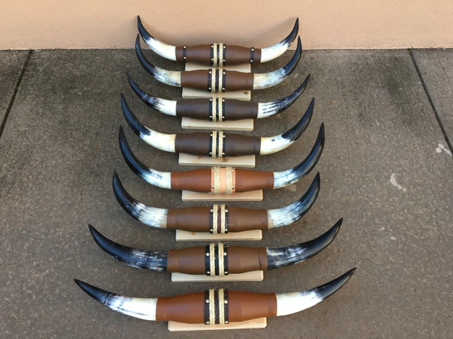 MOUNTED STEER HORNS 30" WIDE to 35" LONGHORN POLISHED MOUNT BULL COW no skull