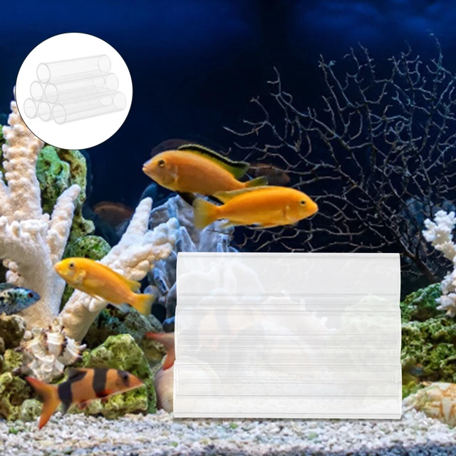 Shrimp Hideaway Fish Tank Breeding Tank Betta Fish Tank Ornamental Shrimp