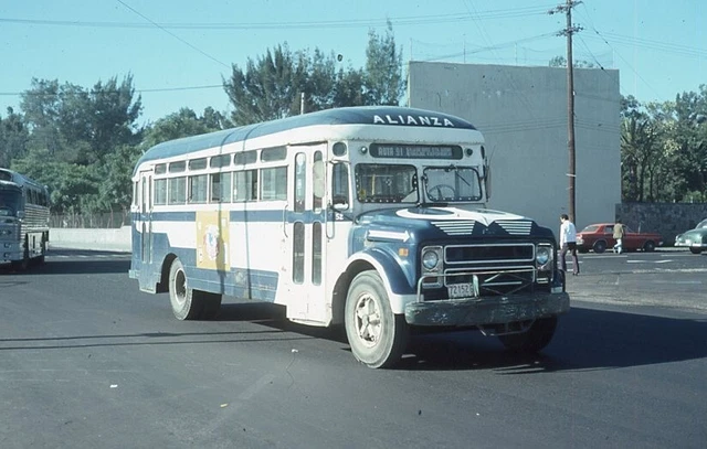 Dodge Bus - Number - 52 - ORIG - KR - rals532