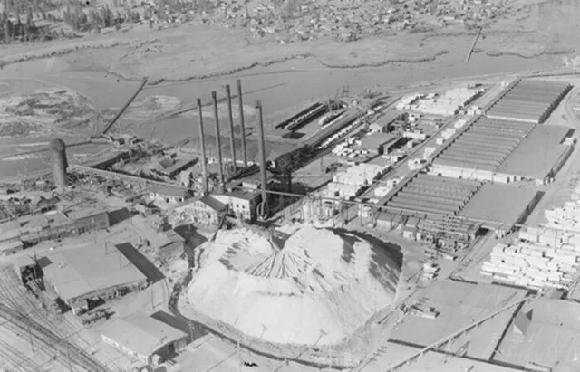 Sawmill at Westwood California 1950s view OLD PHOTO