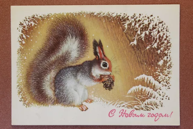 NEW YEAR! Winter forest. Squirrel Nut Cones. Russian unused postcard USSR 1977🎄