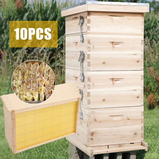 Langstroth Beehive Bee House 4Tier Wooden Hive Frames Beekeeping Honey Brood Box