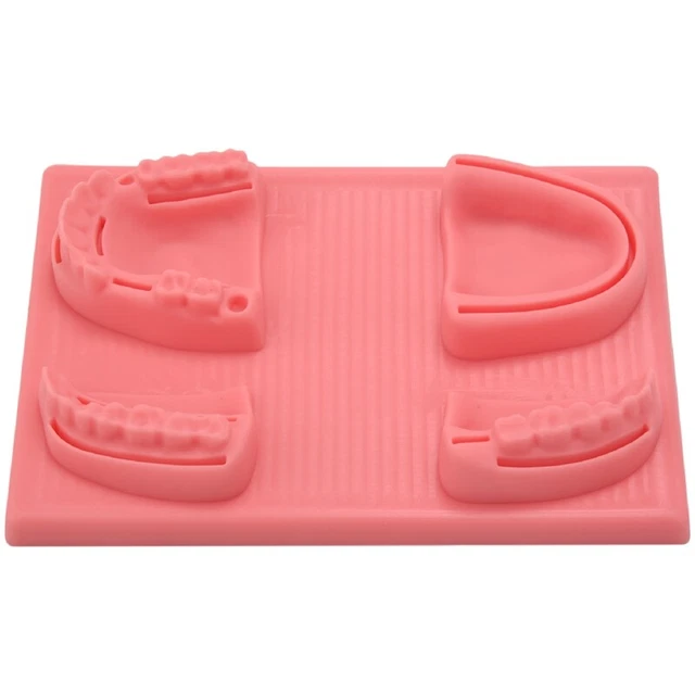 Dental Suture Practice Kit Suture Practice Kit Students and Veterinary Stud U6L2