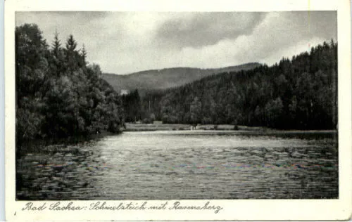 BAD SACHSA b. Osterode Harz AK Schmelzteich Ravensburg Postkarte Ansichtskarte